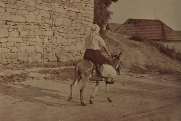 50.) Nő szamárháton. Kalotaszeg, 1960 -as évek