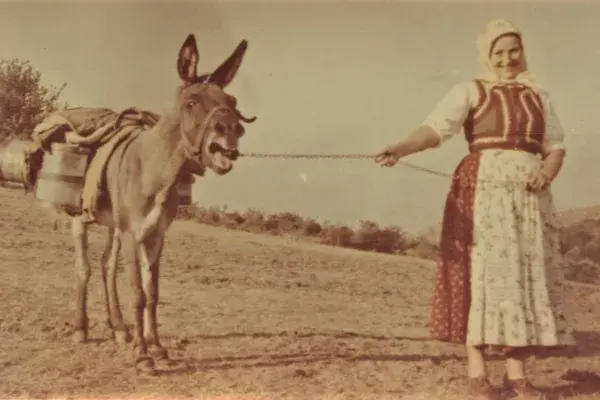 33.) Tötszegi Károlyné Kozma Anna "Nuki" viseletben szamárral. Méra, 1960-as évek