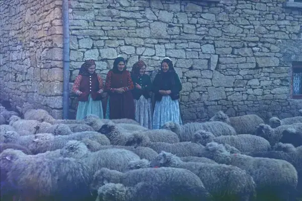 101.) Mérai juhmérés: Várakozó asszonyok. Méra, 1980-as évek