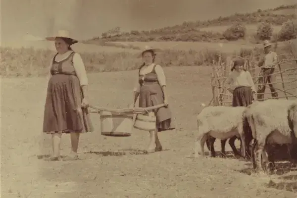 76.) Asszonyok juhméréskor. Mezőség, 1960-as évek