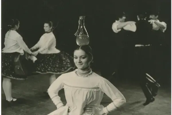 Farkas Zoltán: Somogyi szomszédok, 1982