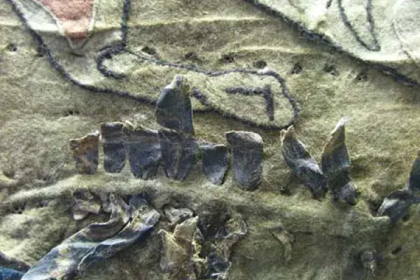 12.&nbsp; kép: Rátét, zsinórozás és bőr együttes alkalmazása szkíta nemeztakarón, ie. 5 század, Ermitázs