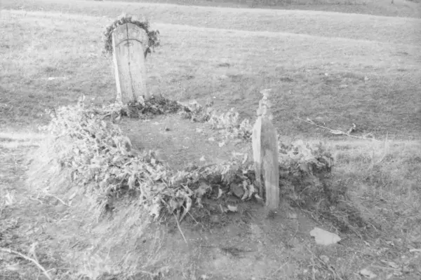 59.) Sír, fejfákkal. Mezőség, 1960-as évek
