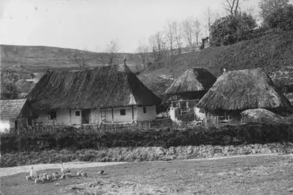 72.) Parasztházak, falukép. Mezőség, 1960-as évek