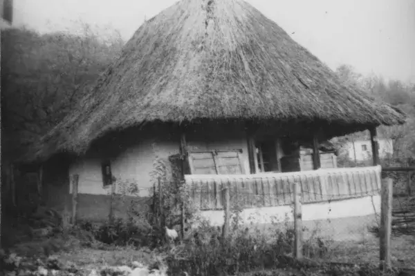 77.) Nádfedeles parasztház tornáccal. Mezőség, 1960-as évek 